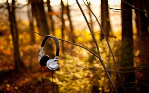 headphones, forest, twigs