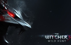 The Witcher 3 Wild Hunt, The Witcher