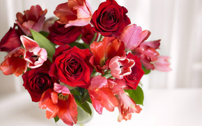 flowers, vase, tulips, bouquet, roses