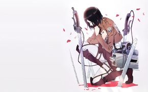 Shingeki no Kyojin, anime, Mikasa Ackerman