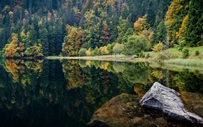 trees, rock, lake, nature