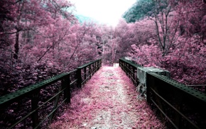 Infrared, bridge