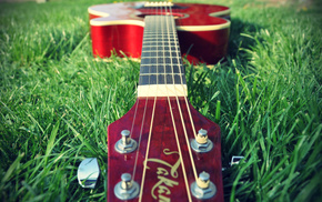 nature, guitar, music, grass
