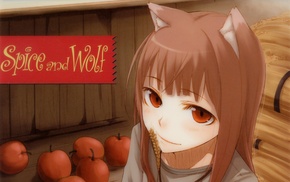 Holo, anime, Spice and Wolf