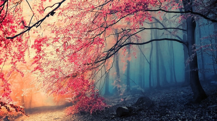 trees