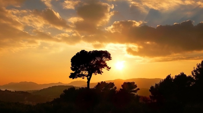 landscape