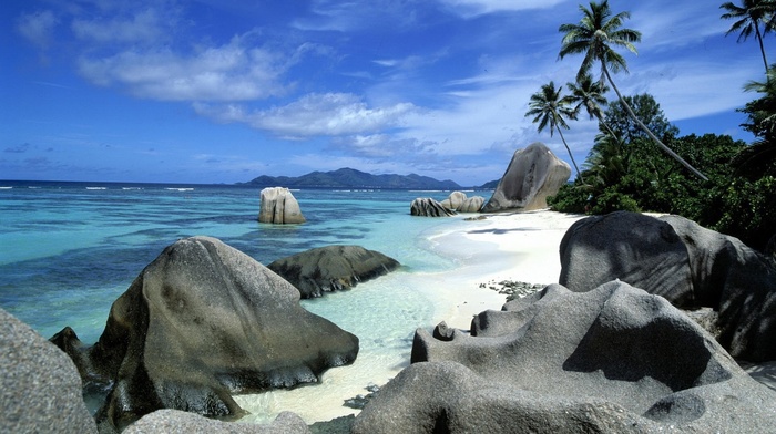 nature, sea
